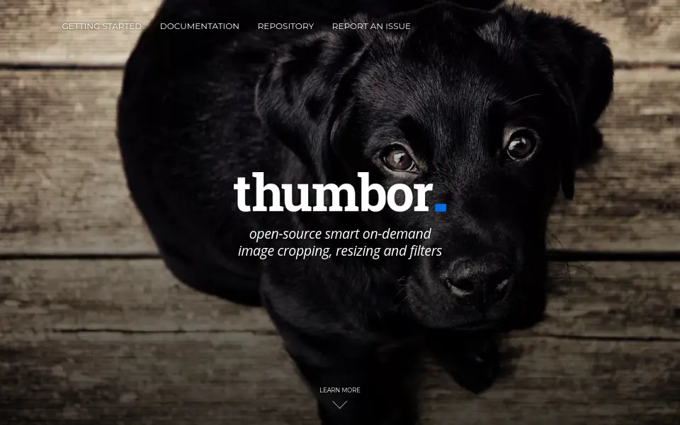 Preview of thumbor