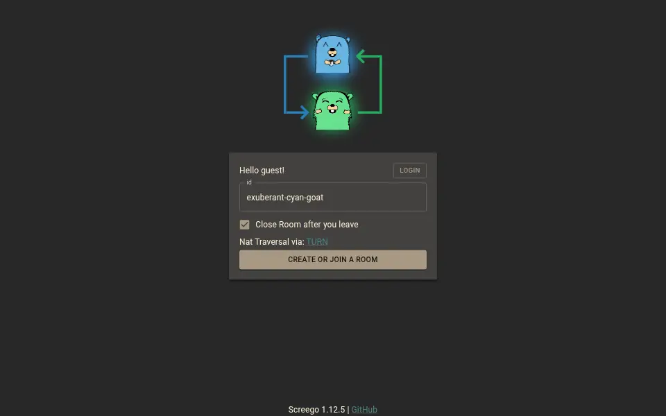 Preview of server