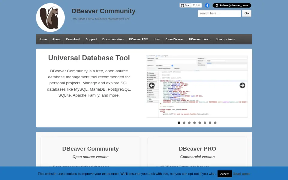 Preview of DBeaver