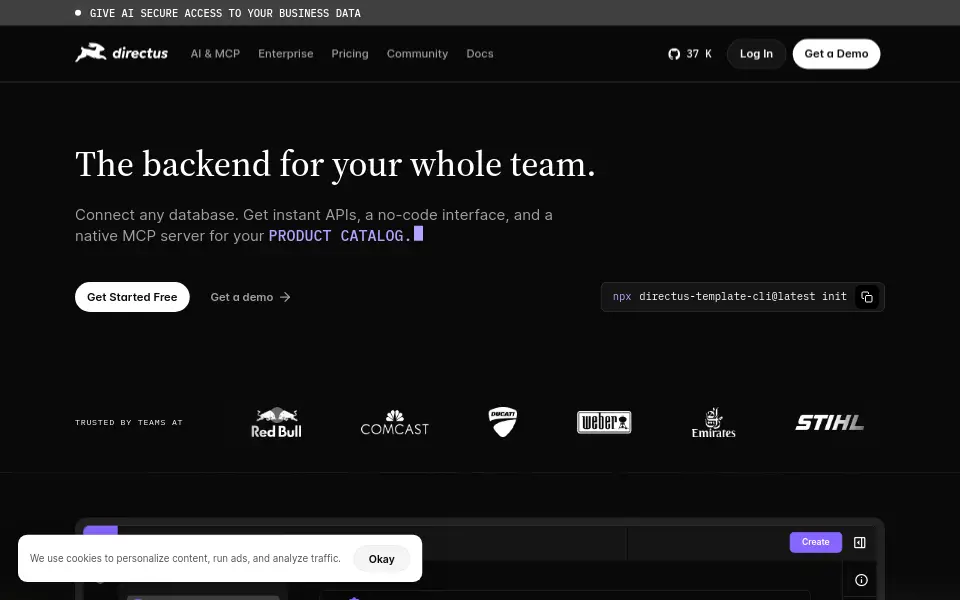 Preview of Directus