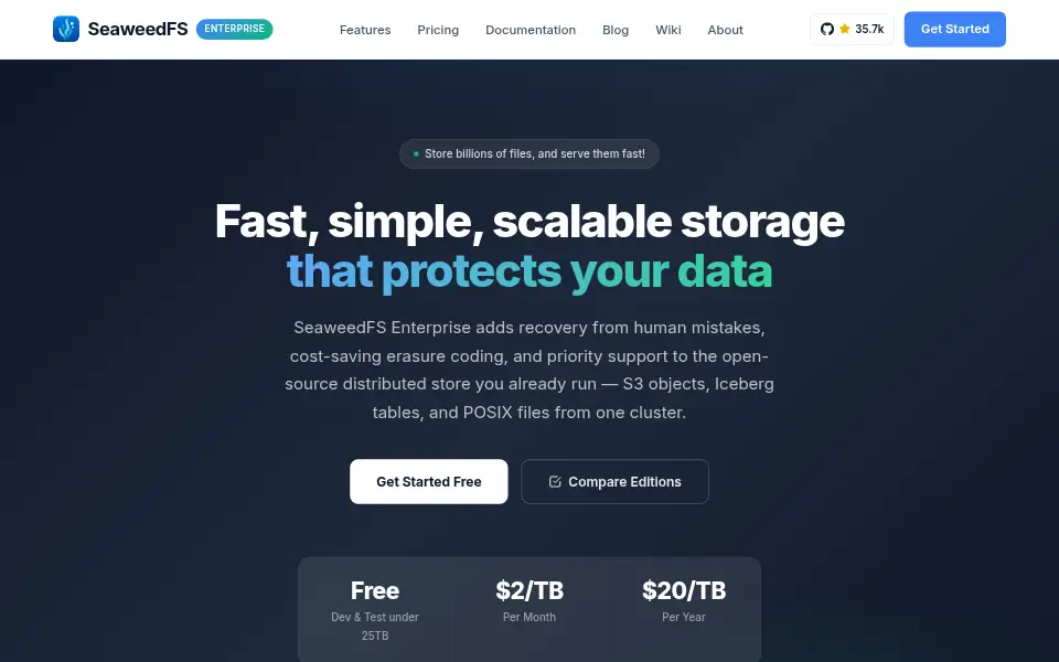 Preview of SeaweedFS
